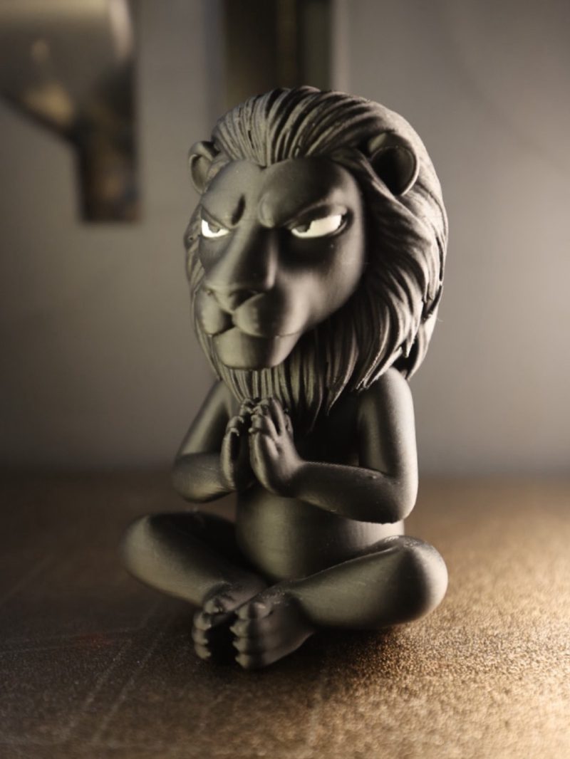 Zen Aslan
